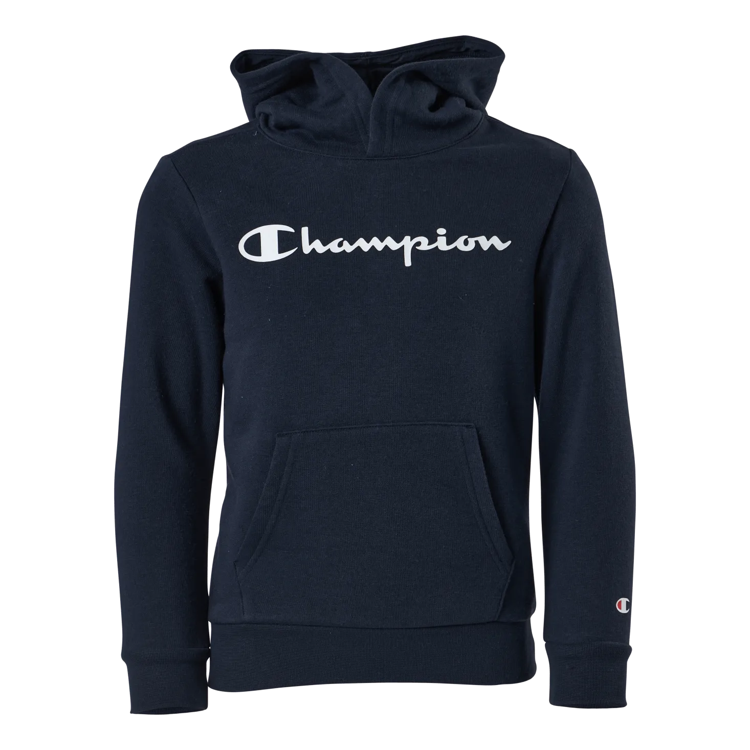 Champion Hooded Sweatshirt Sky Captain