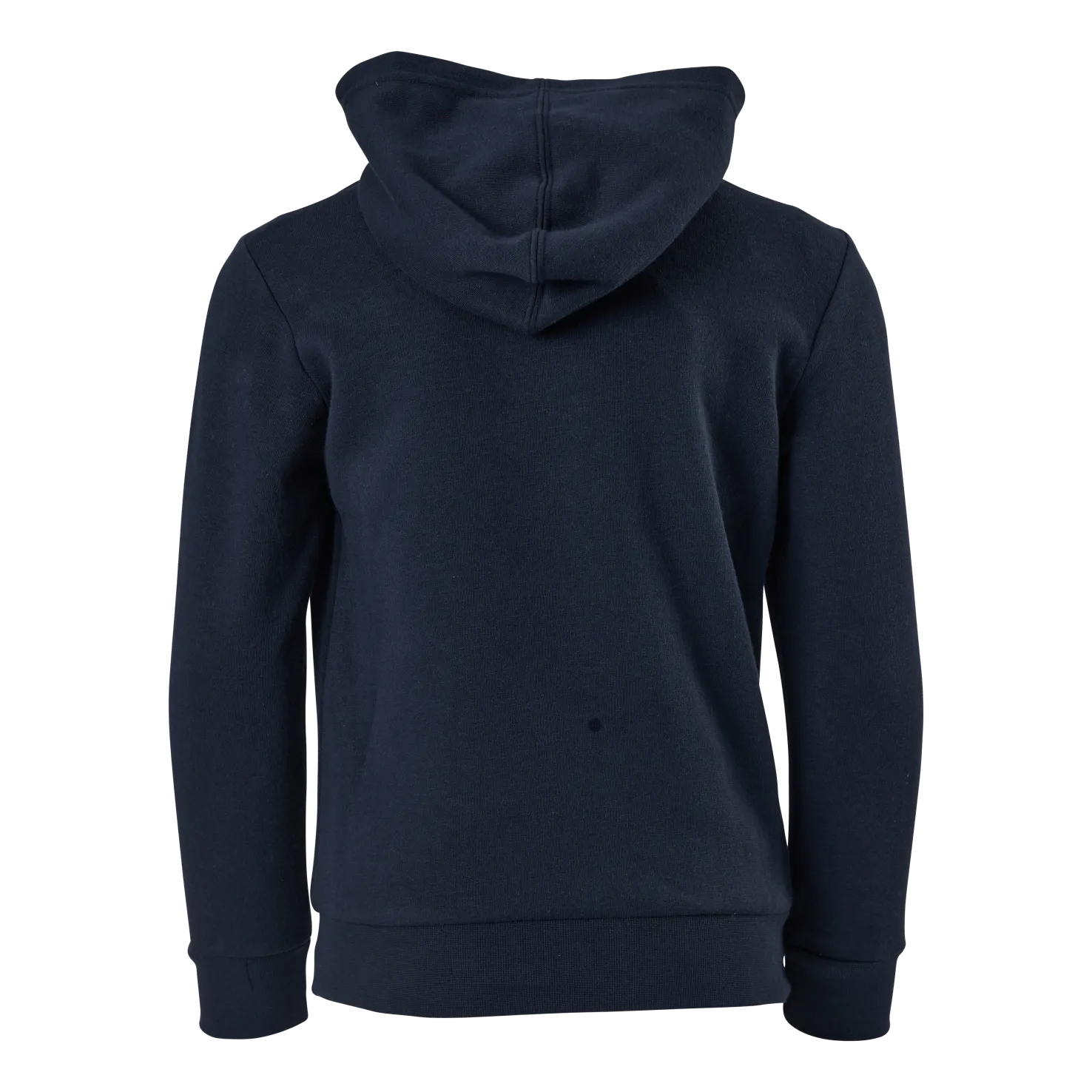 Champion Hooded Sweatshirt Sky Captain