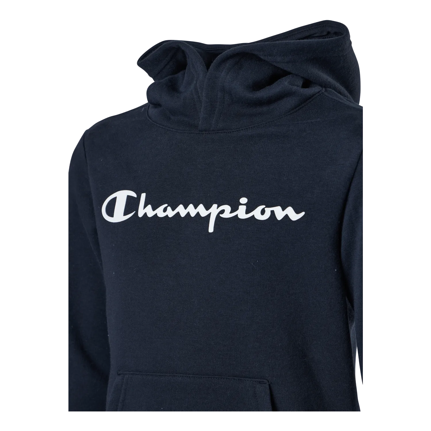 Champion Hooded Sweatshirt Sky Captain