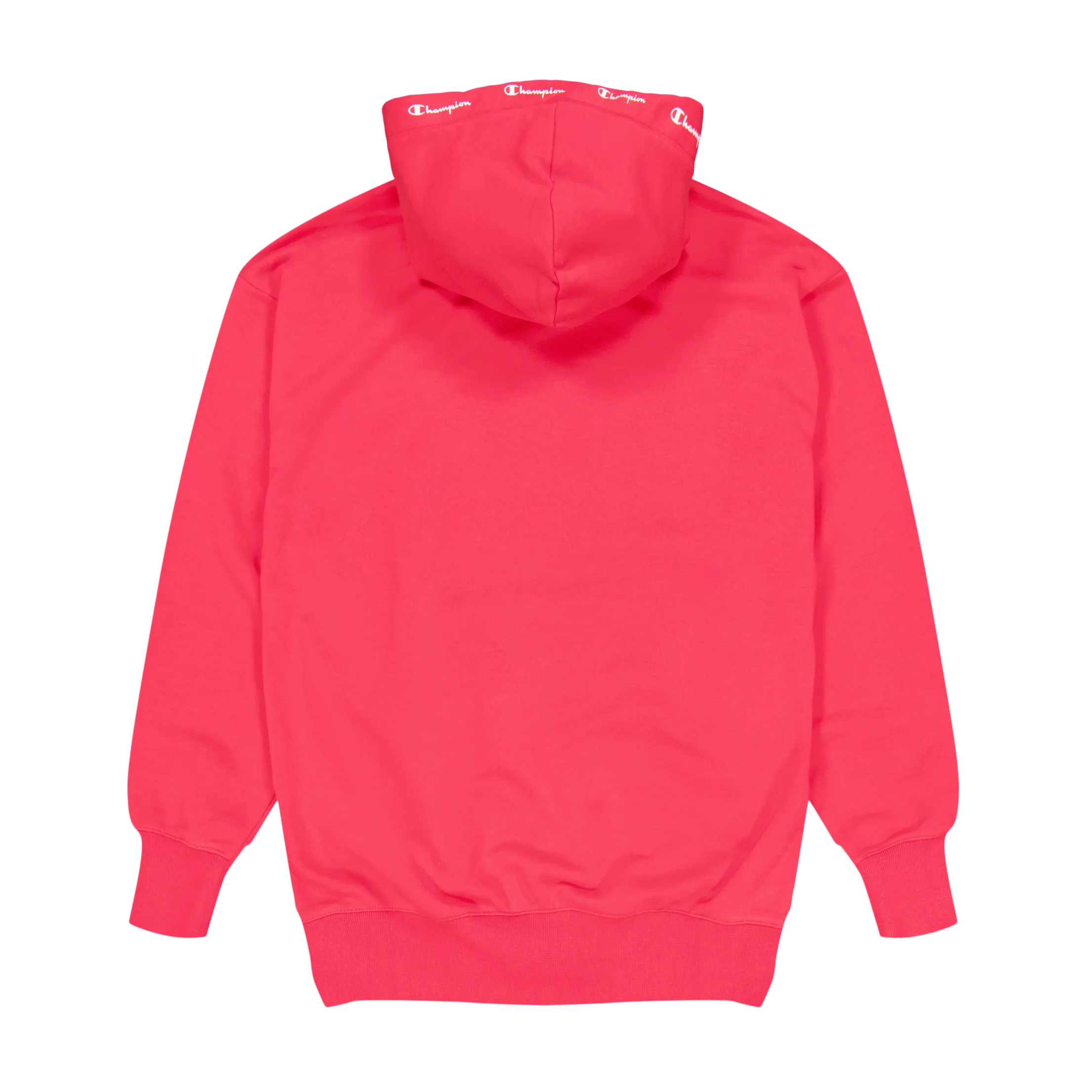 Champion Hooded Sweatshirt Teaberry