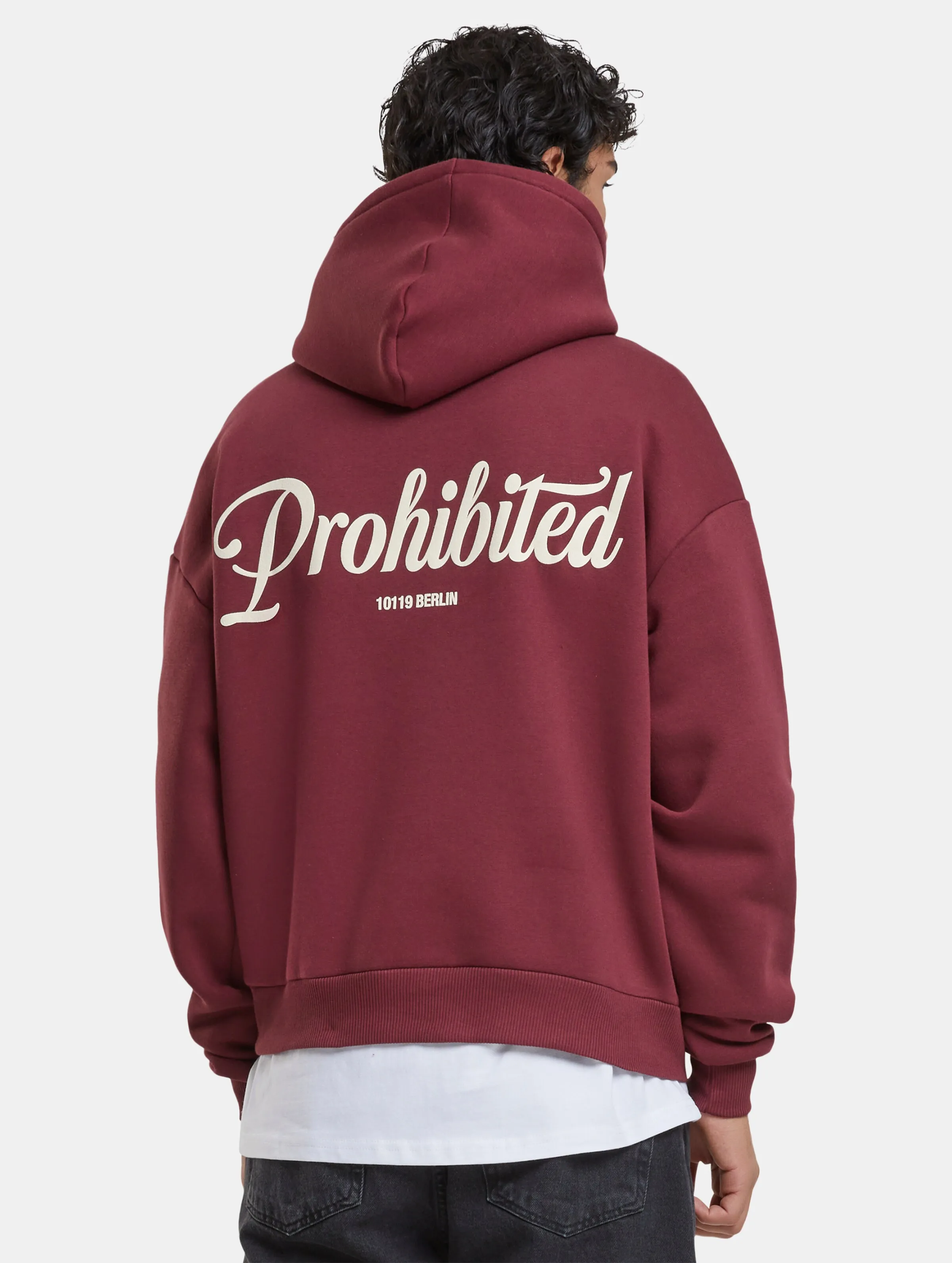 Prohibited Prohibited V2 Hoodies