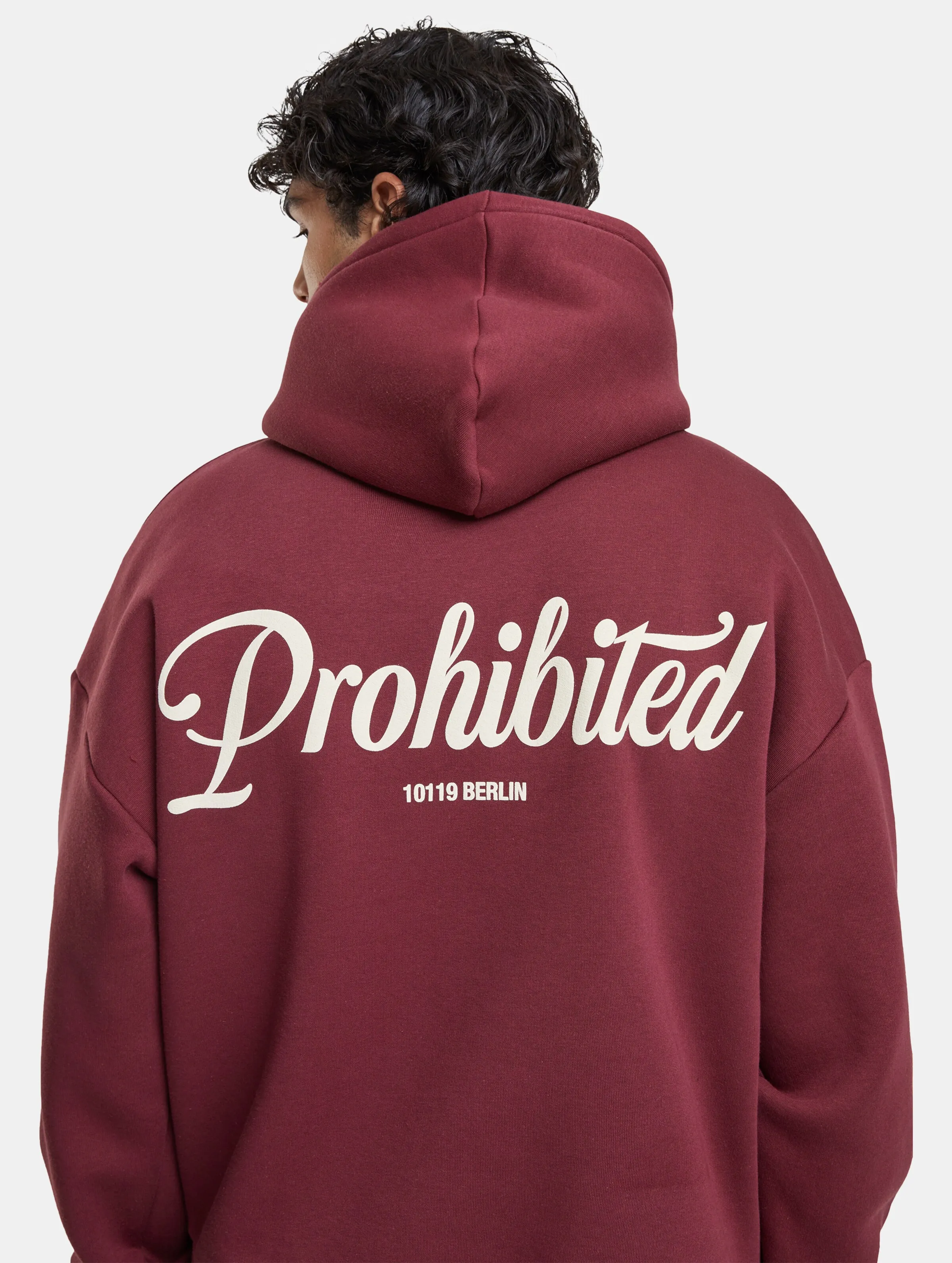 Prohibited Prohibited V2 Hoodies