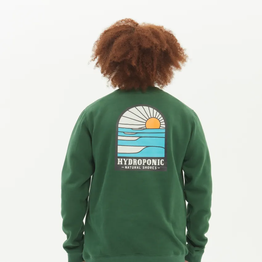 Sudadera niño HYDROPONIC cuello redondo 23541Y-02 SHORES CW YTHdark green/verde